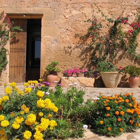 Finca Sa Cova Vella Manacor  Eksteriør bilde