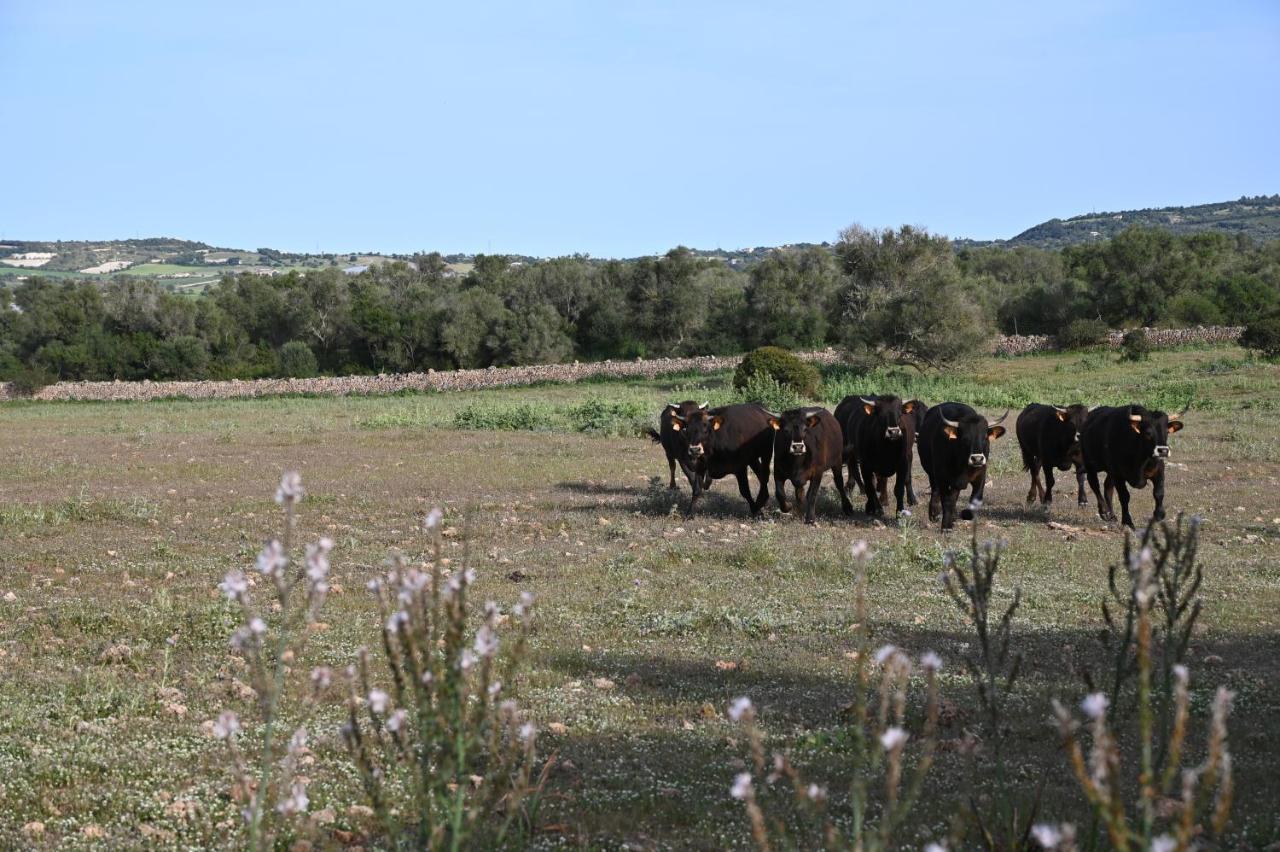 Finca Sa Cova Vella Manacor  Eksteriør bilde