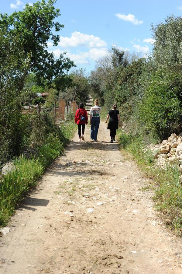 Finca Sa Cova Vella Manacor  Eksteriør bilde