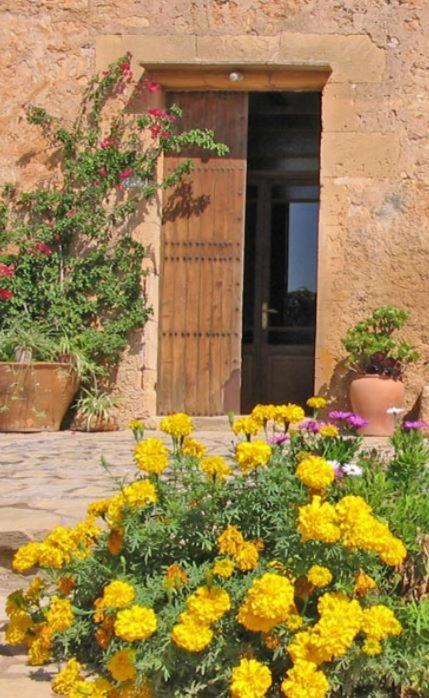 Finca Sa Cova Vella Manacor  Eksteriør bilde
