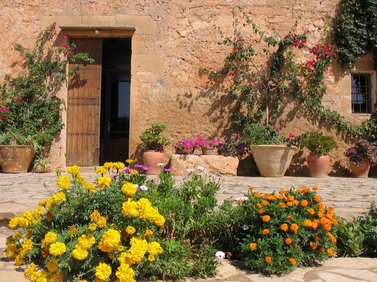 Finca Sa Cova Vella Manacor  Eksteriør bilde