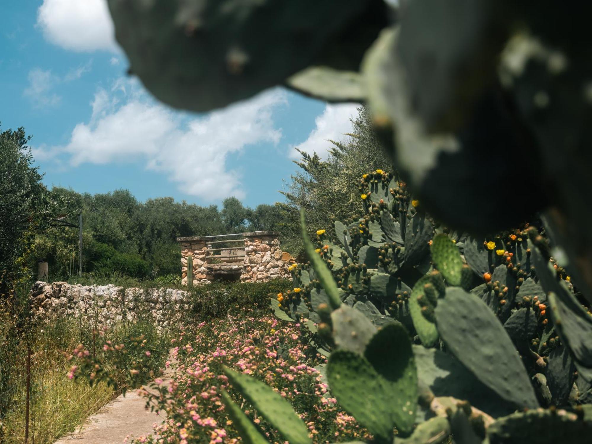 Finca Sa Cova Vella Manacor  Eksteriør bilde