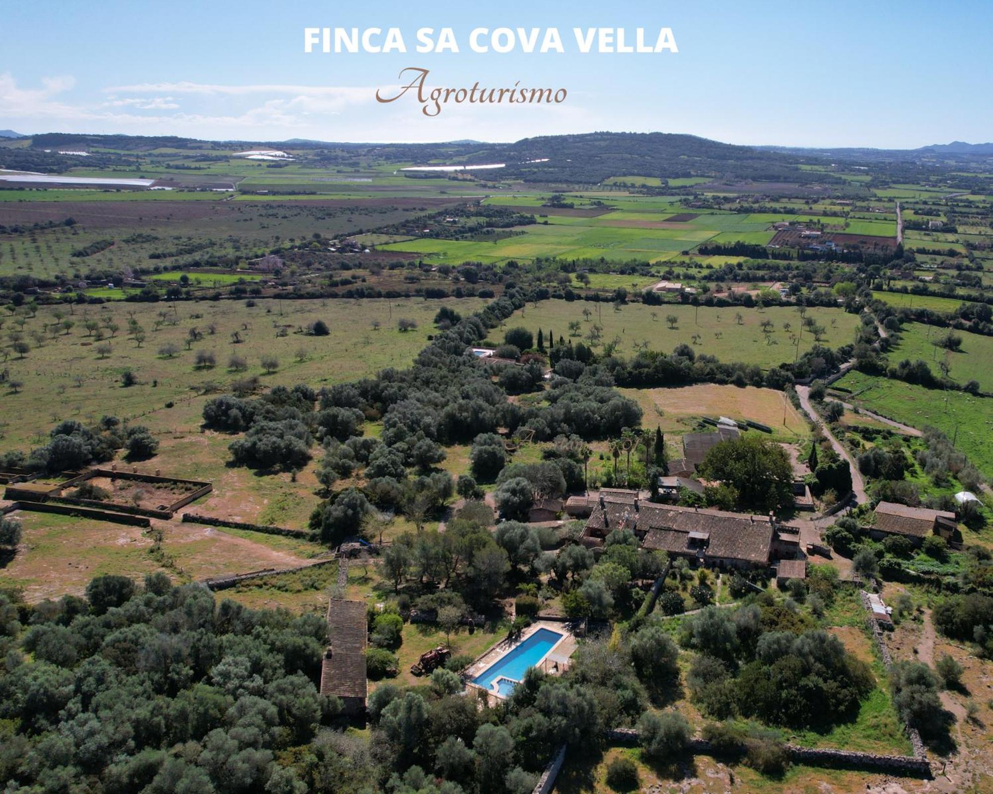Finca Sa Cova Vella Manacor  Eksteriør bilde