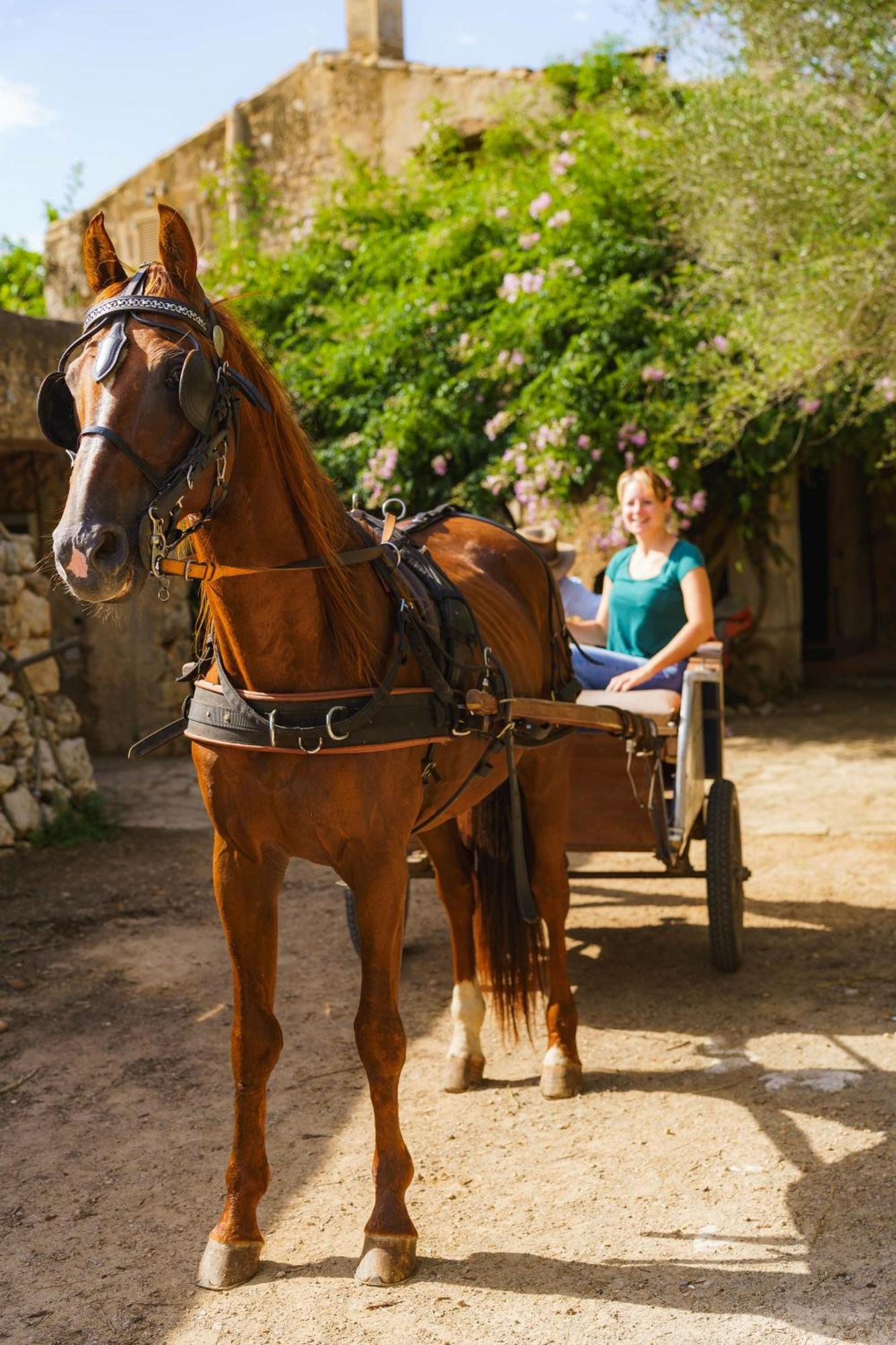 Finca Sa Cova Vella Manacor  Eksteriør bilde