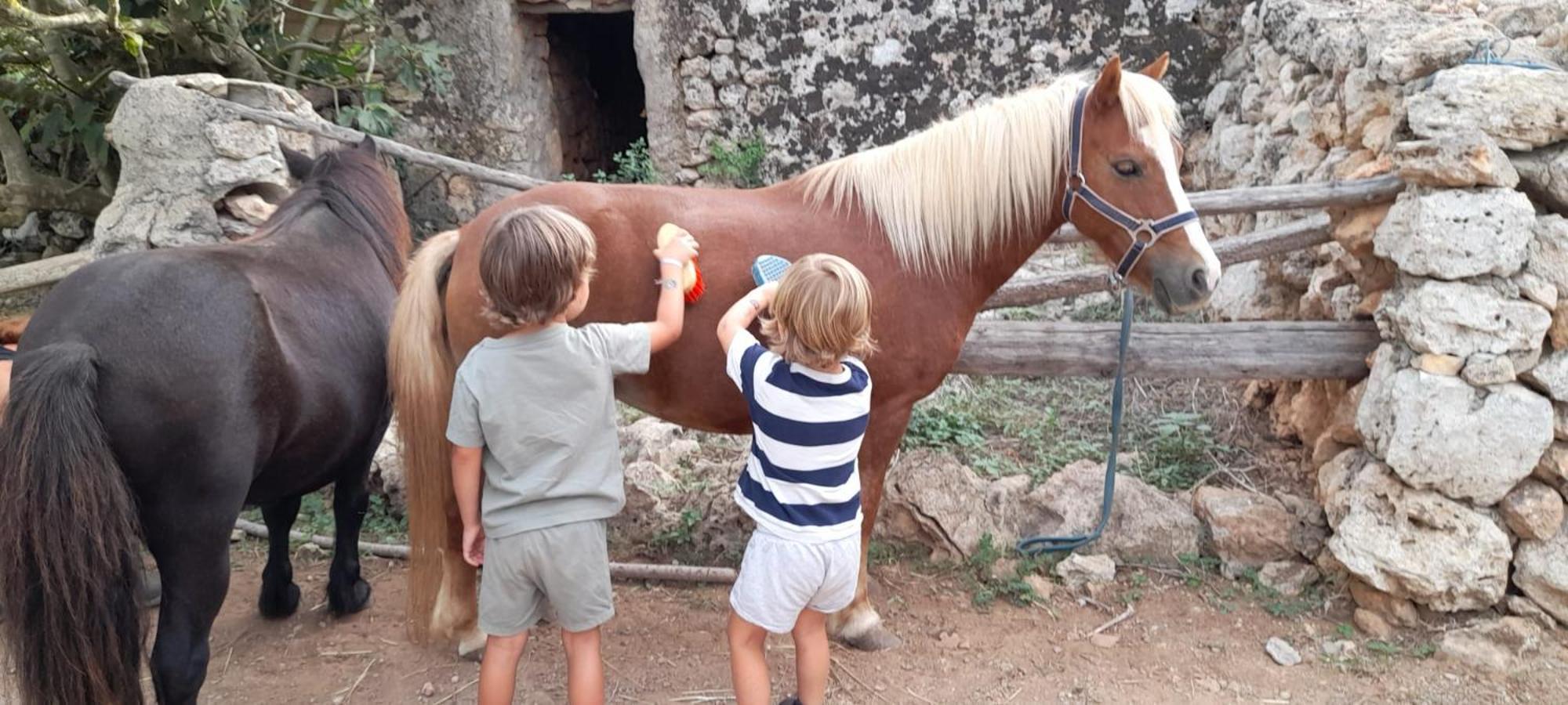 Finca Sa Cova Vella Manacor  Eksteriør bilde